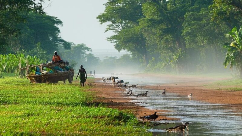 Central African Republic: Navigating the Interplay of Climate Change and Development Challenges