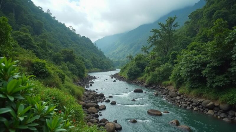 Surge in Migration Through the Darien Gap Led by Venezuelans Amid Political Upheaval