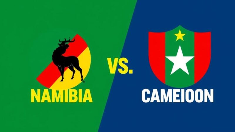 Namibia vs. Cameroon: Preview and Predictions for AFCON Qualifiers