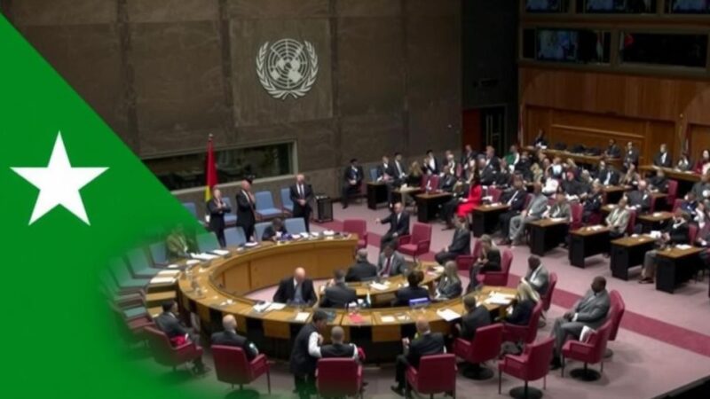 Russia Vetoes UN Resolution for Ceasefire in Sudan Conflict