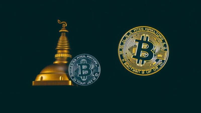 Bhutan and El Salvador: Success in Bitcoin Investments, Germany’s Missed Opportunities