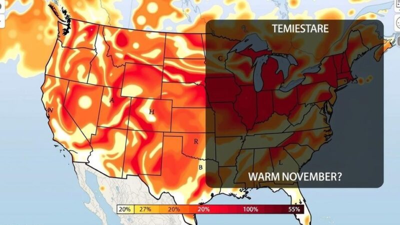 Record-Warm November Forges Path for Earth’s Hottest Year Yet