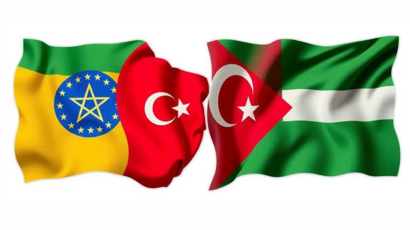 Ethiopia-Somalia Pact Reflects Turkey’s Diplomatic Commitment to Peace