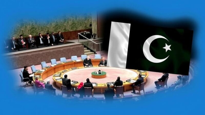 Pakistan’s UNSC Membership: A Challenge or an Opportunity for Global Peace?