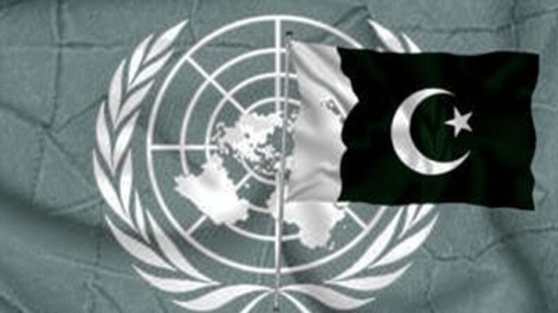 Pakistan Reaffirms Kashmir Stance as It Begins Its New Term on UN Security Council